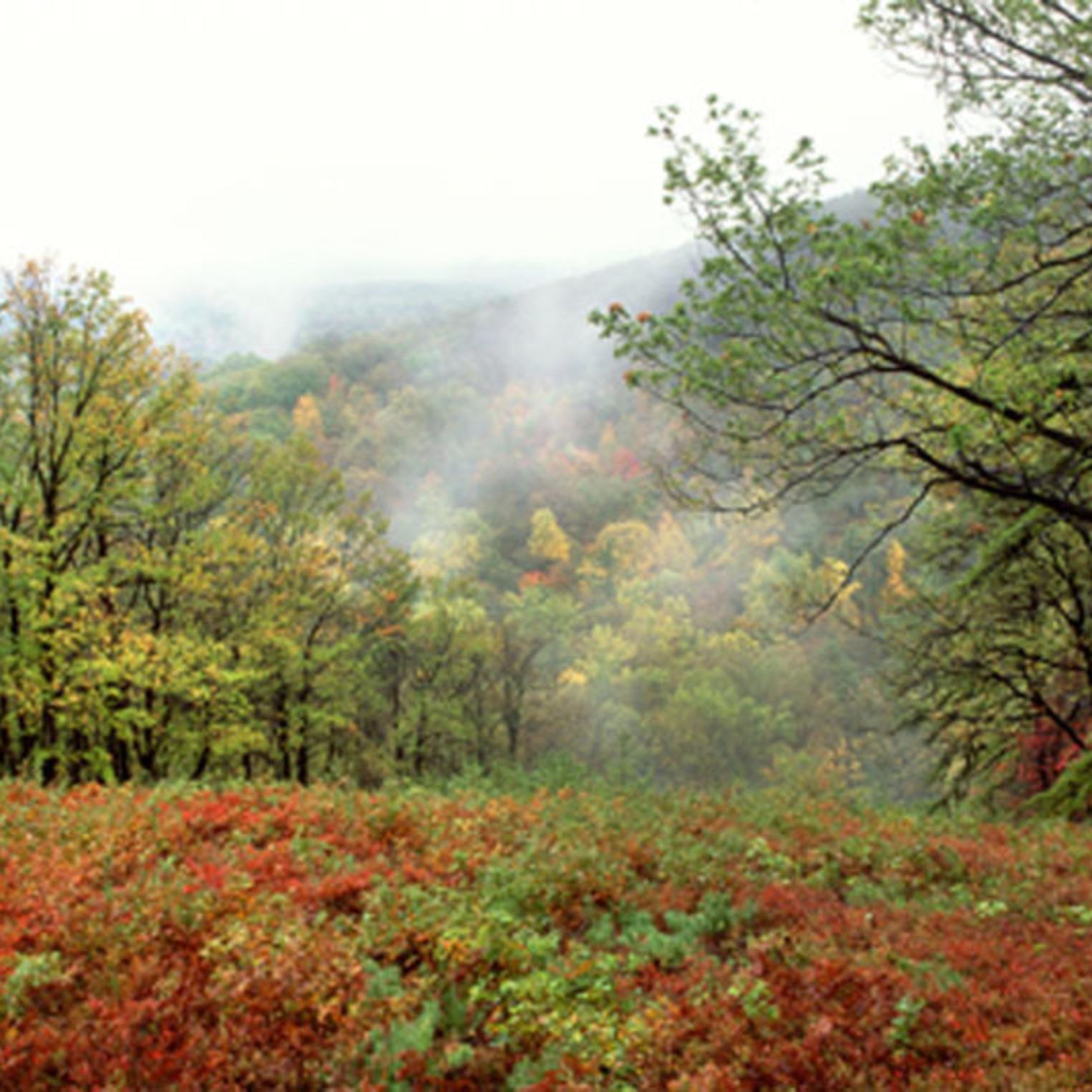 Autumn view at Kings Gap Environmental Education Center