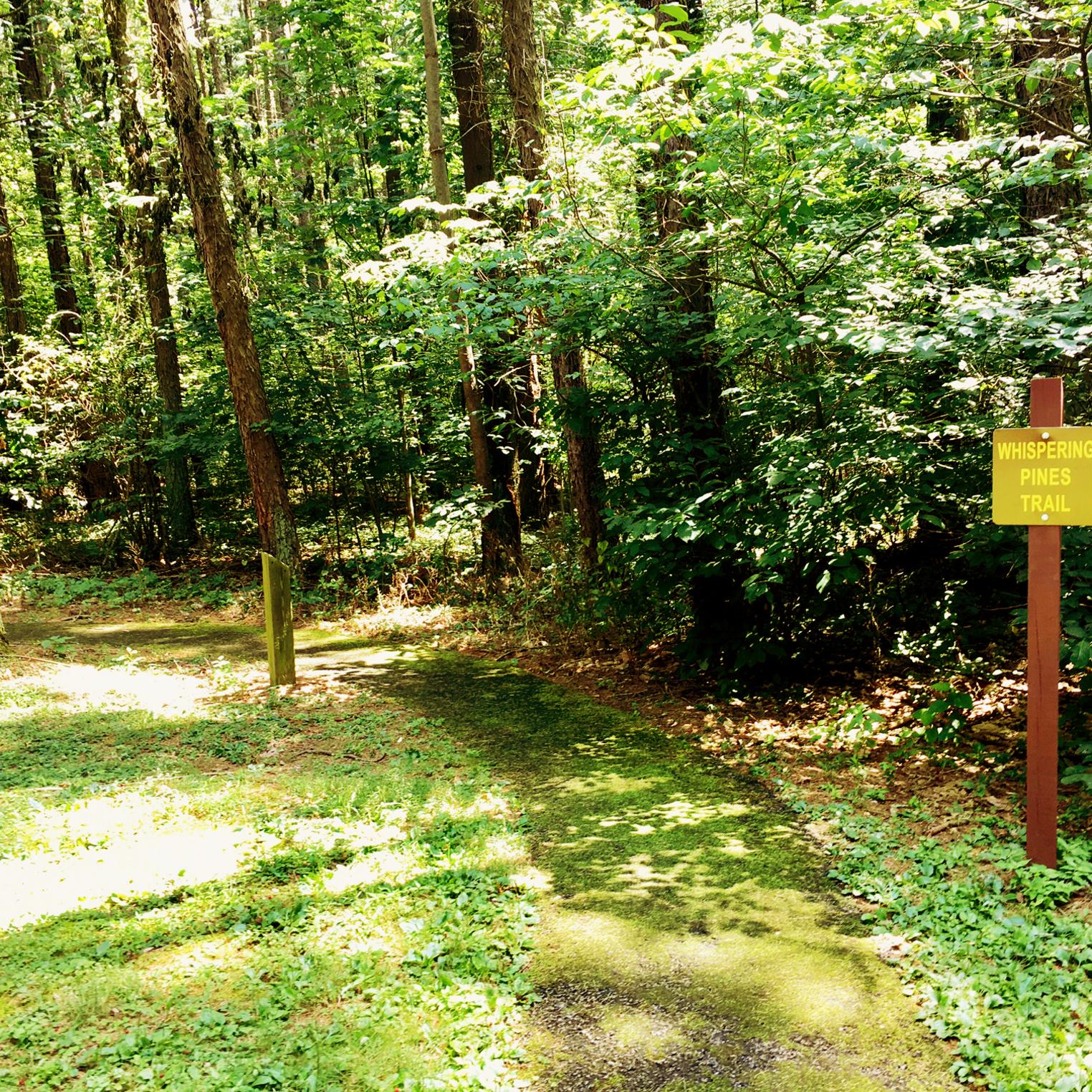 Whispering Pines Trail at Kings Gap