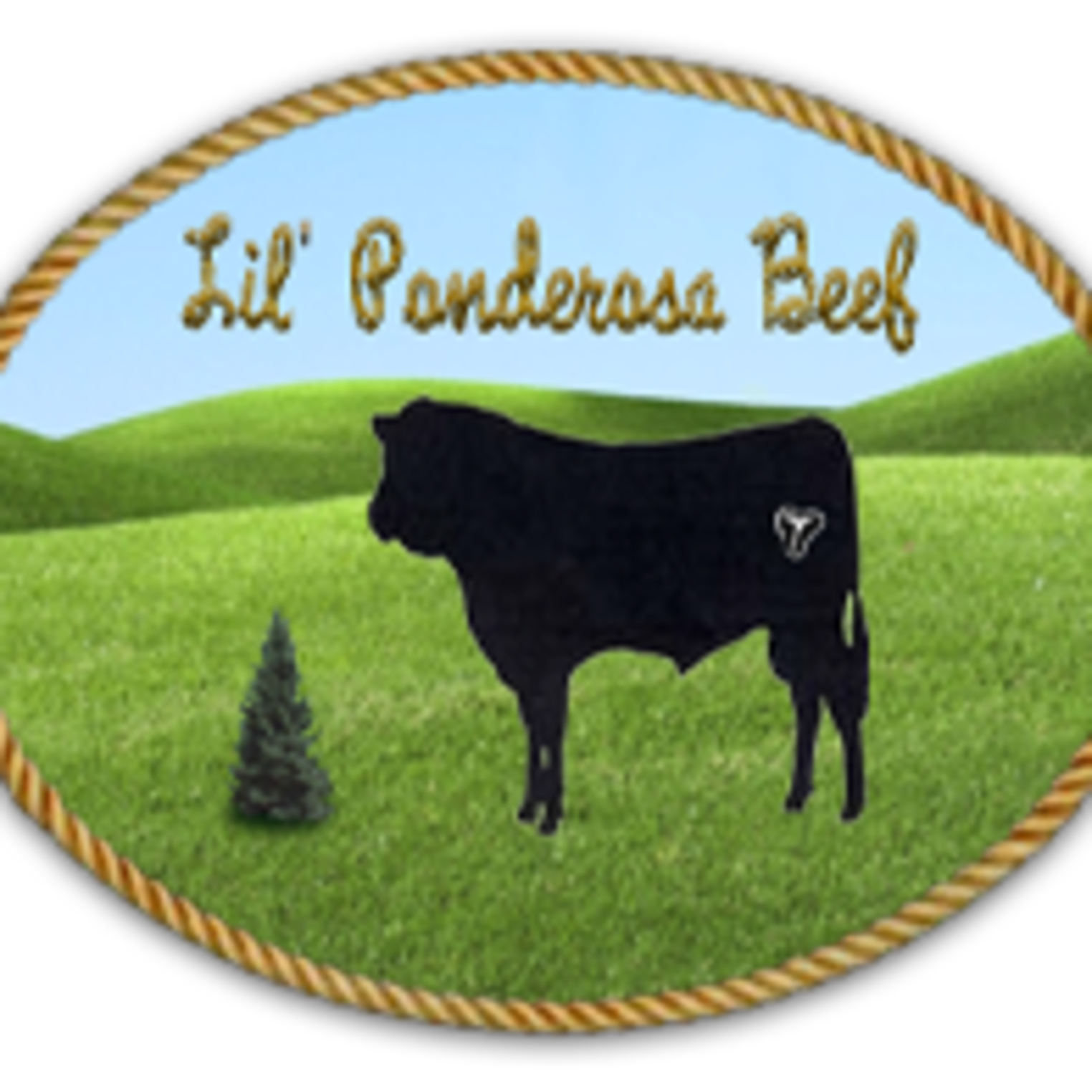 Lil' Ponderosa Enterprises