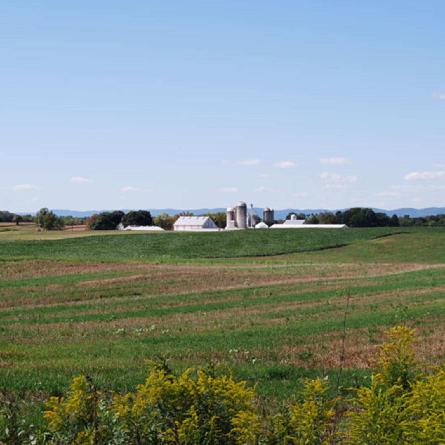 Beautiful farmland view from Lincoln Cemetery