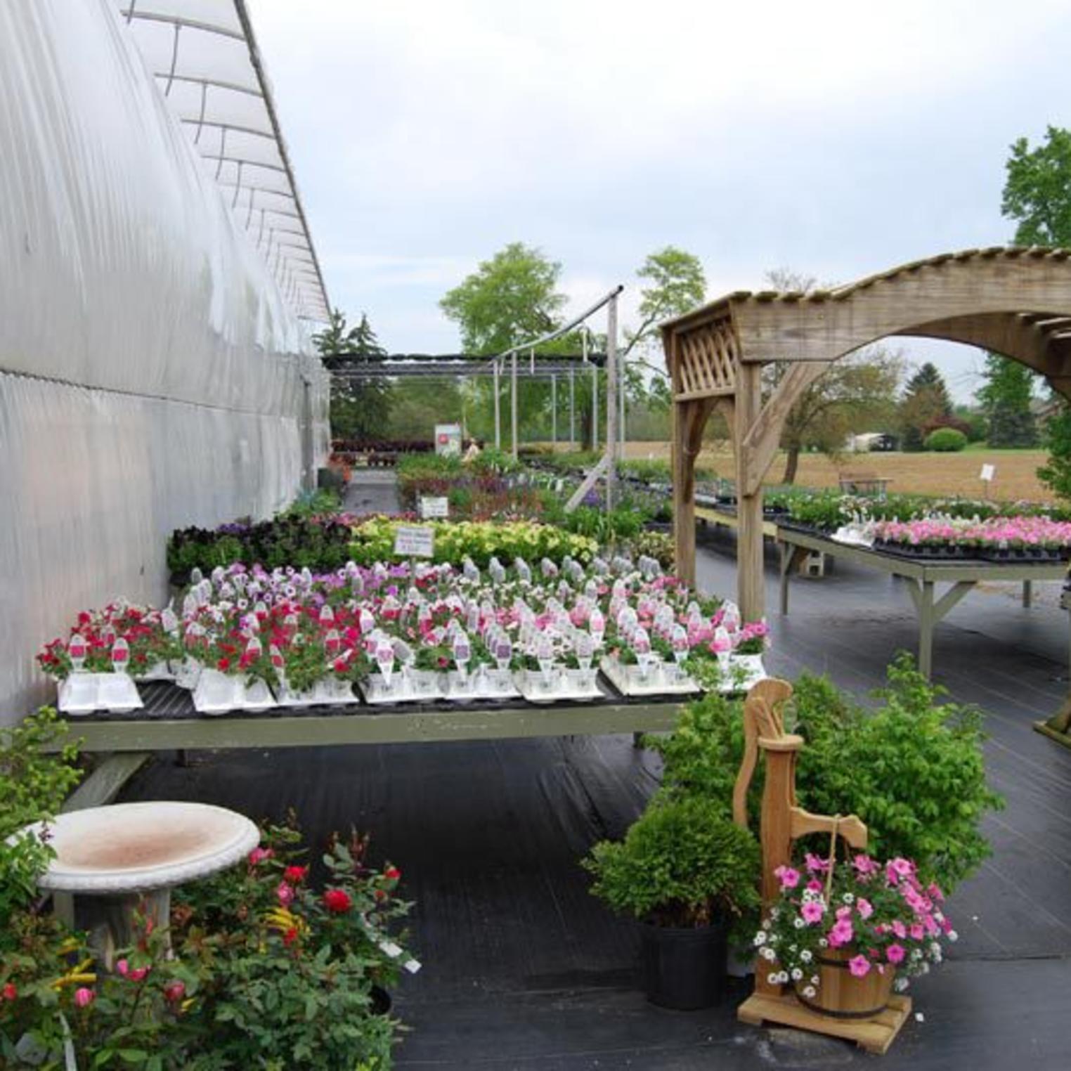 Maplewood Produce