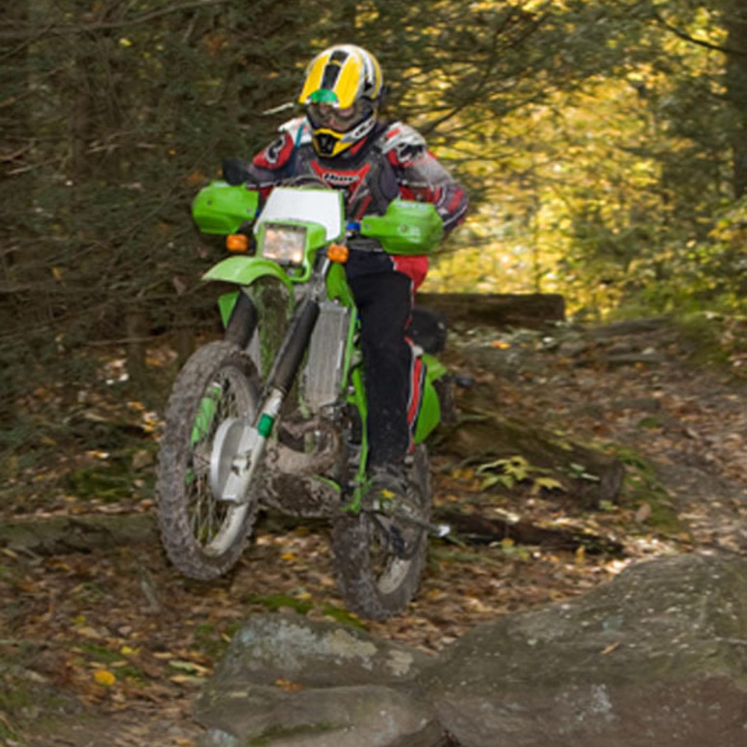 michaux state forest mountain biking