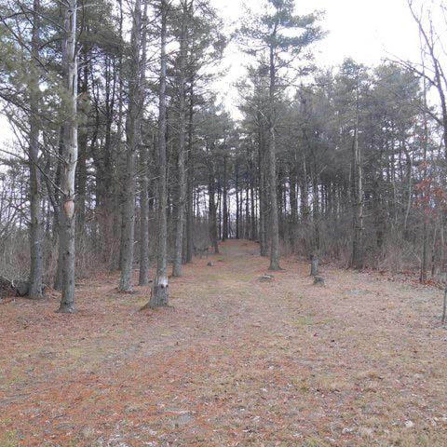 Middlesex Township Park Carlisle, PA 17013