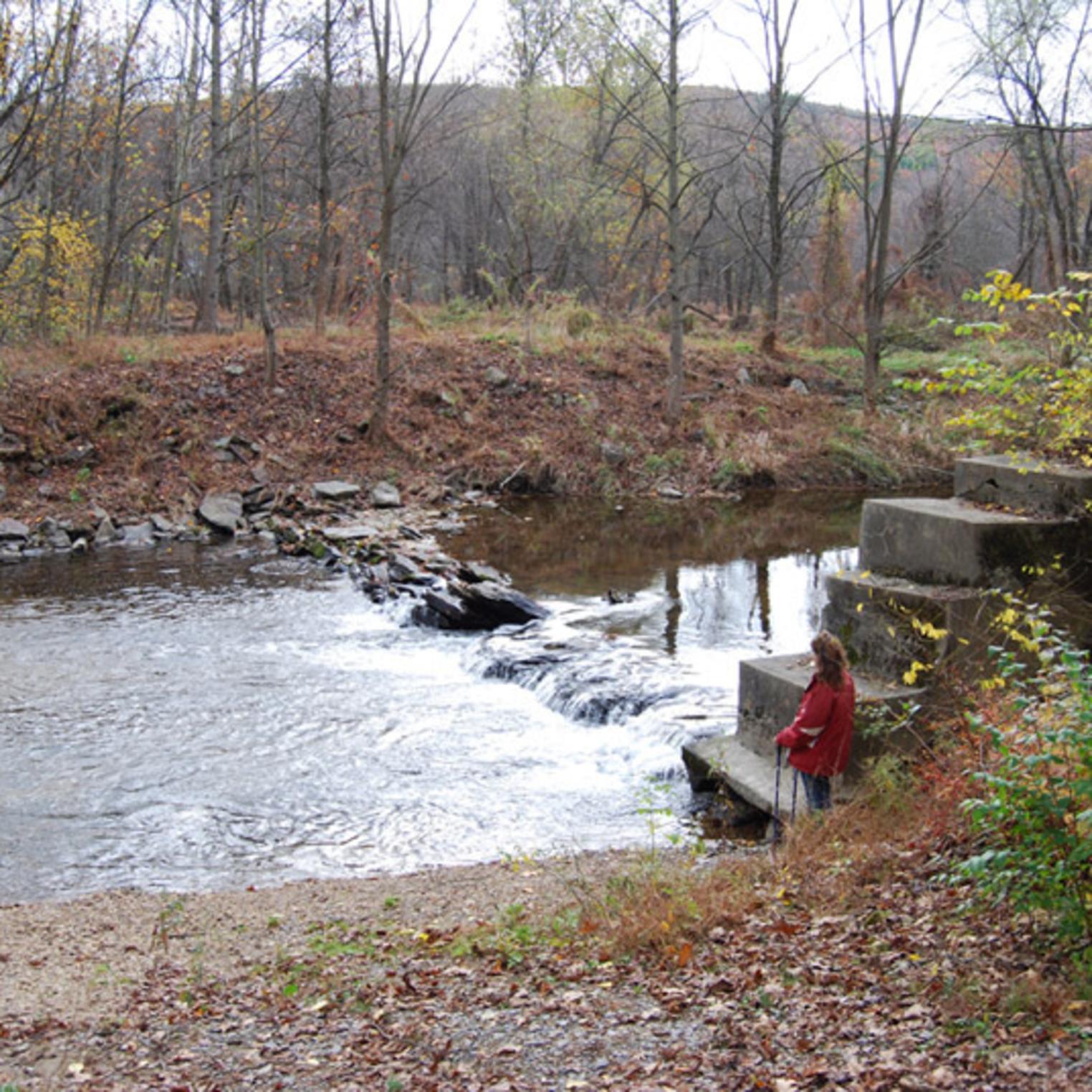 Mountain Creek in Mt Holly Marsh Preserve