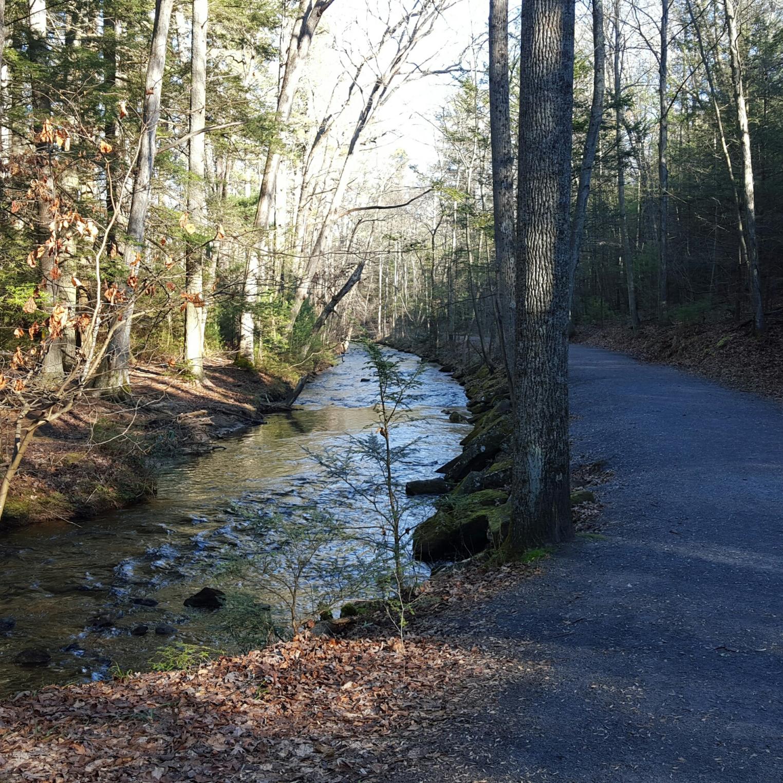 Mountain Creek Trail