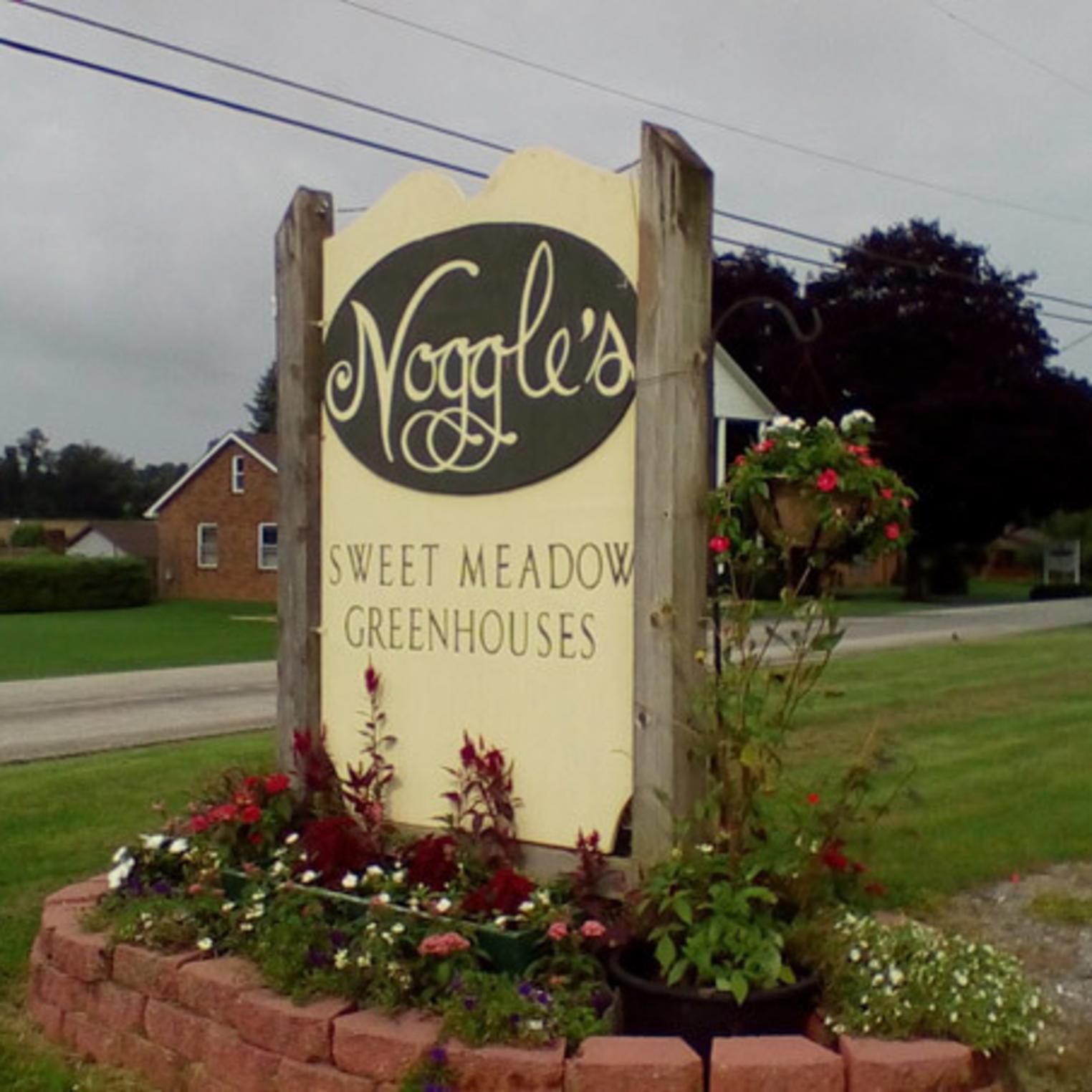 Noggles Sweet Meadow