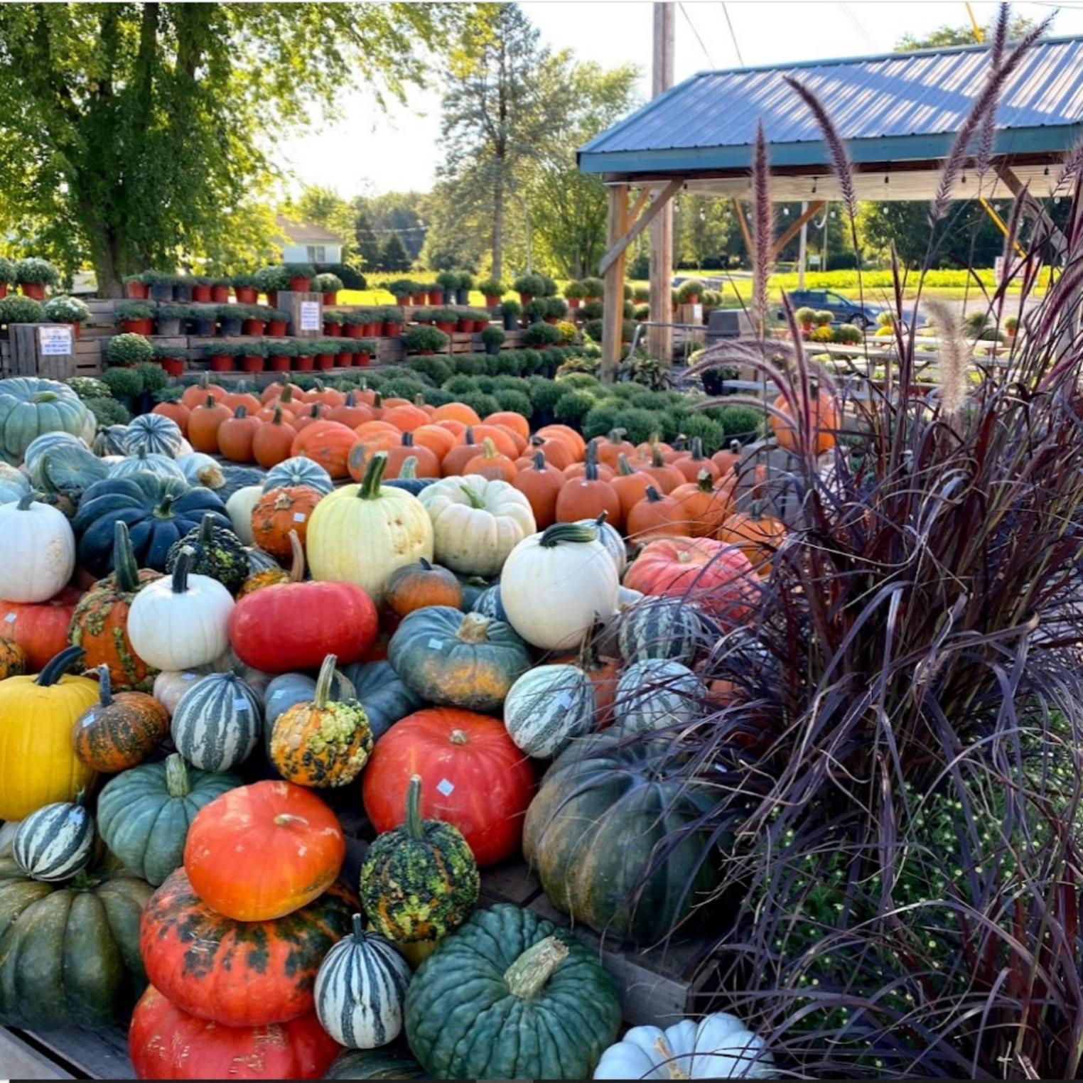 Oak Grove Farms