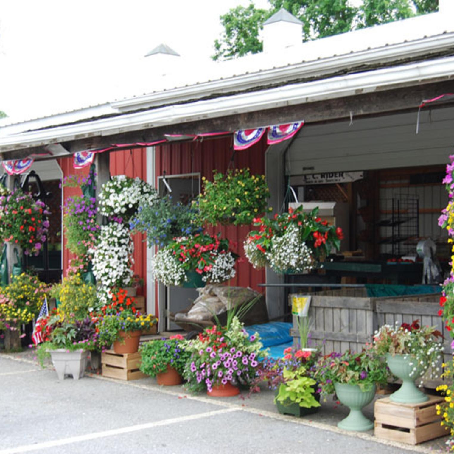 Front of Paulus Farm Market