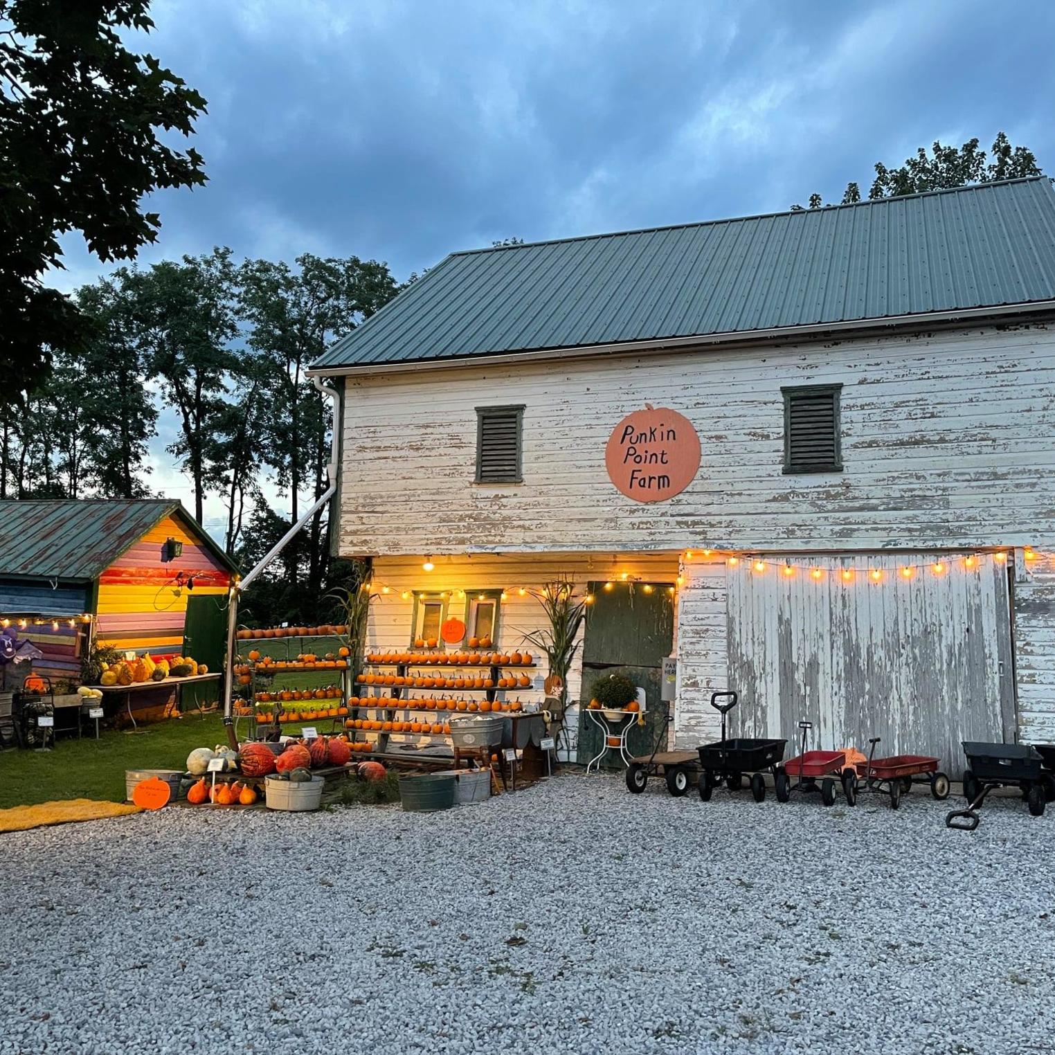 Punkin Point Farm