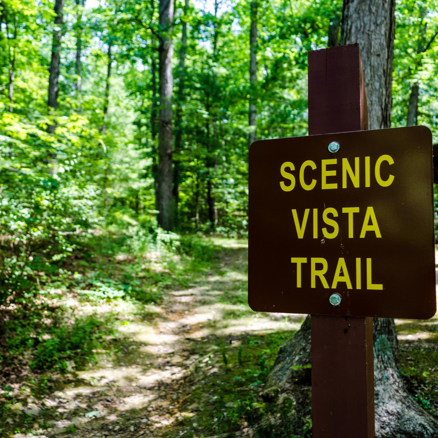 Scenic Vista Trail @ Kings Gap