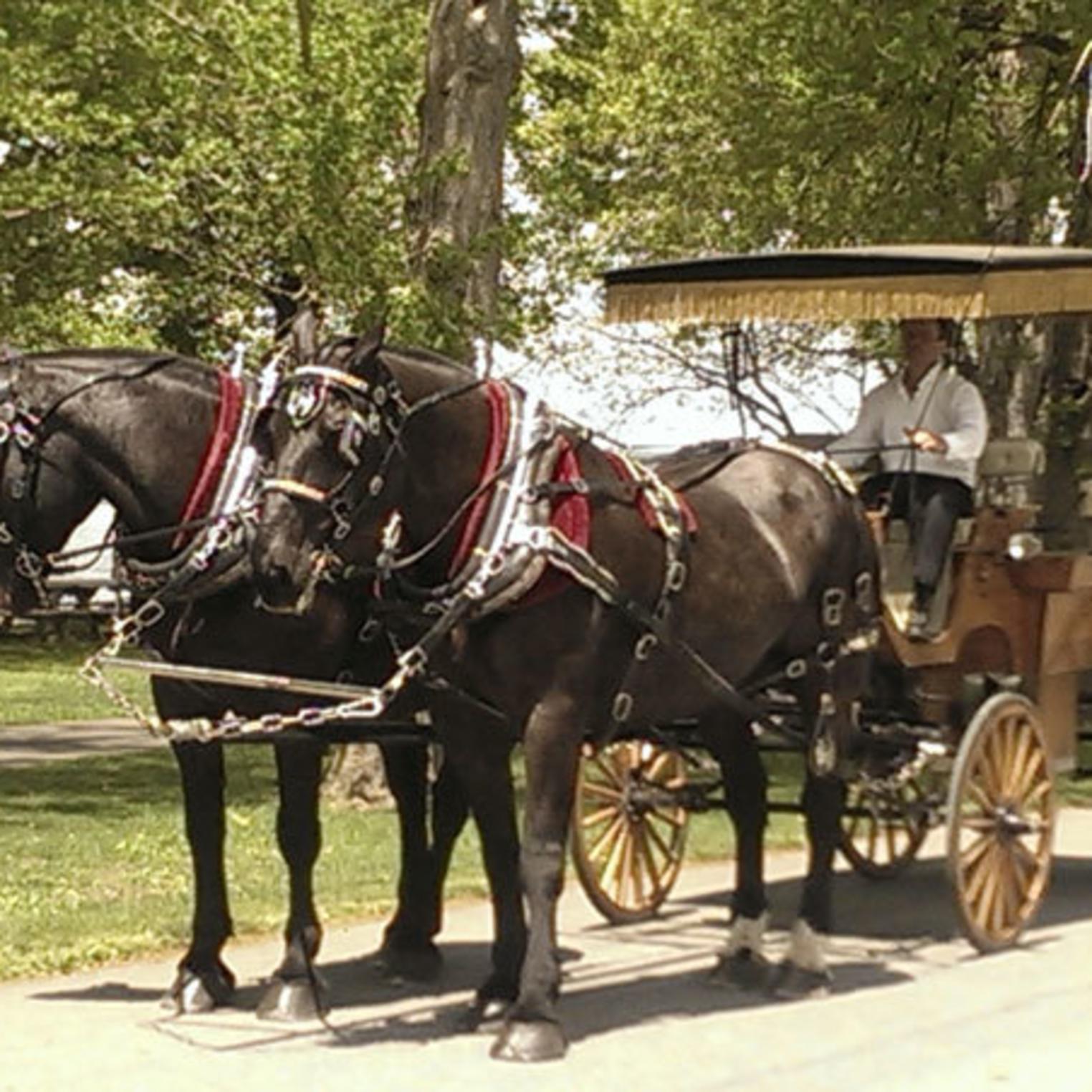 South Mountain Carriage Company