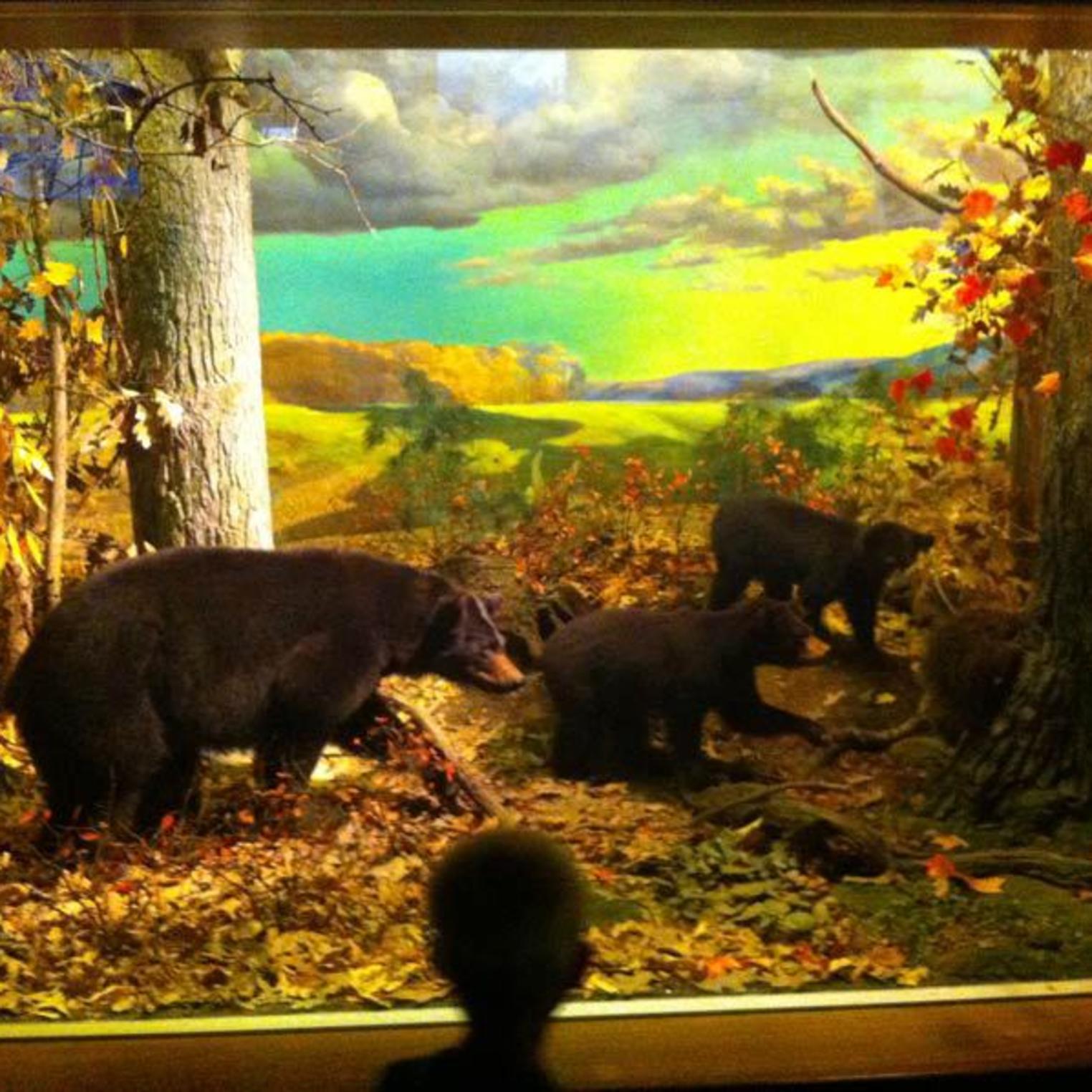 State Museum of PA