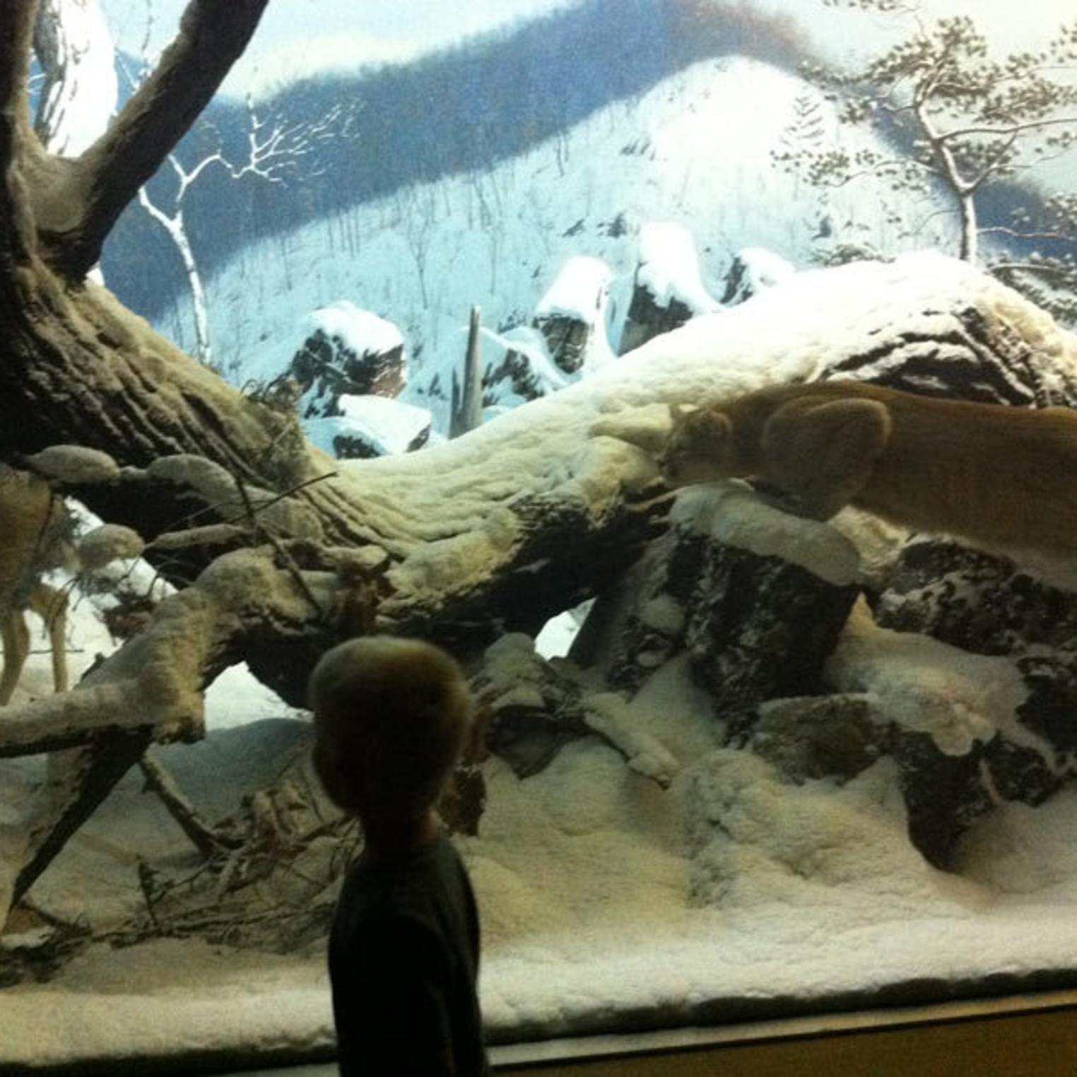 State Museum of PA