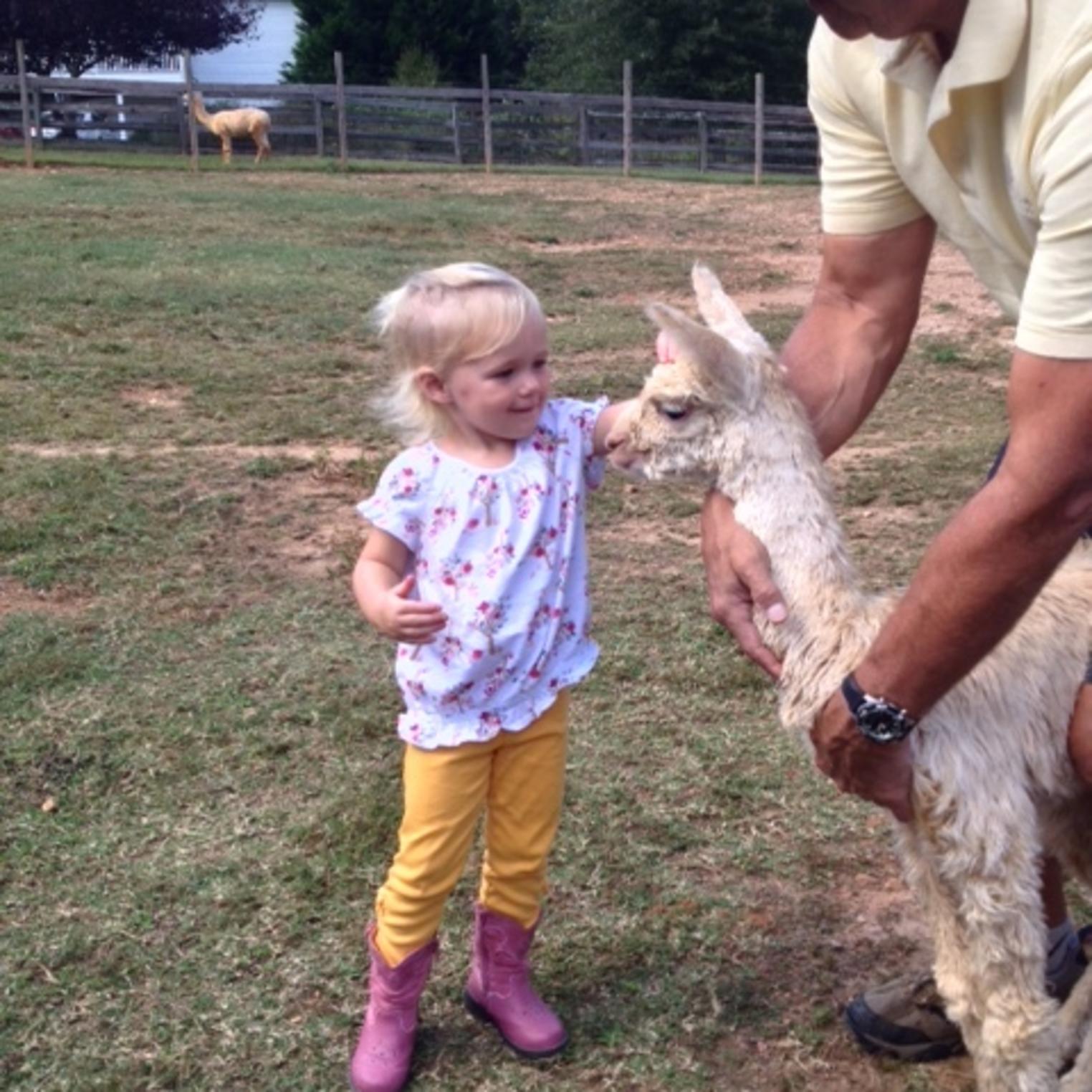 Thunder River Alpacas