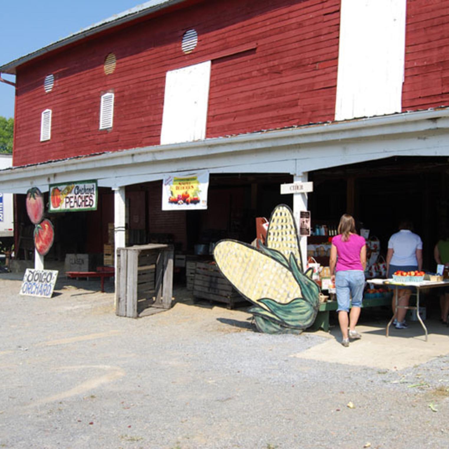 Shopping at Toigo Orchards