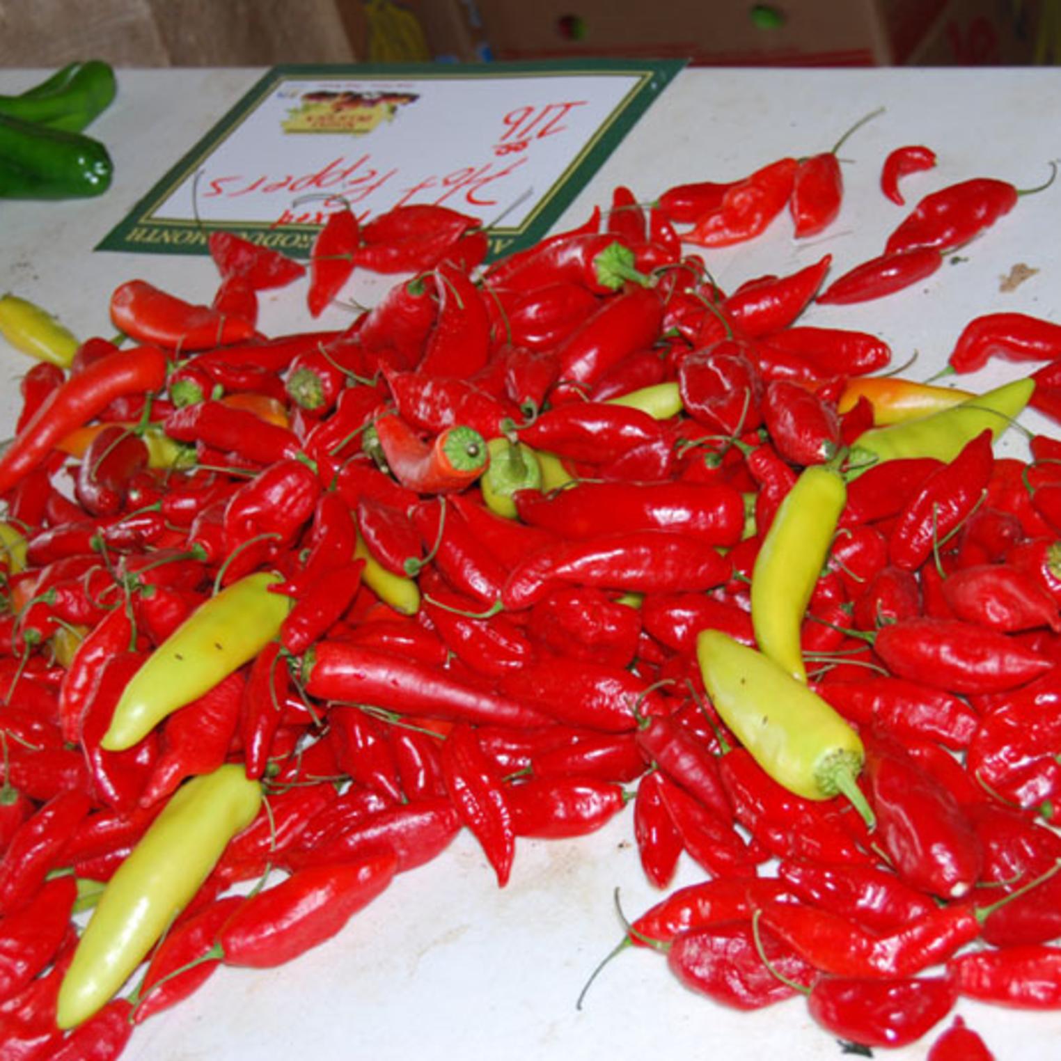 Hot Peppers at Toigo Orchards