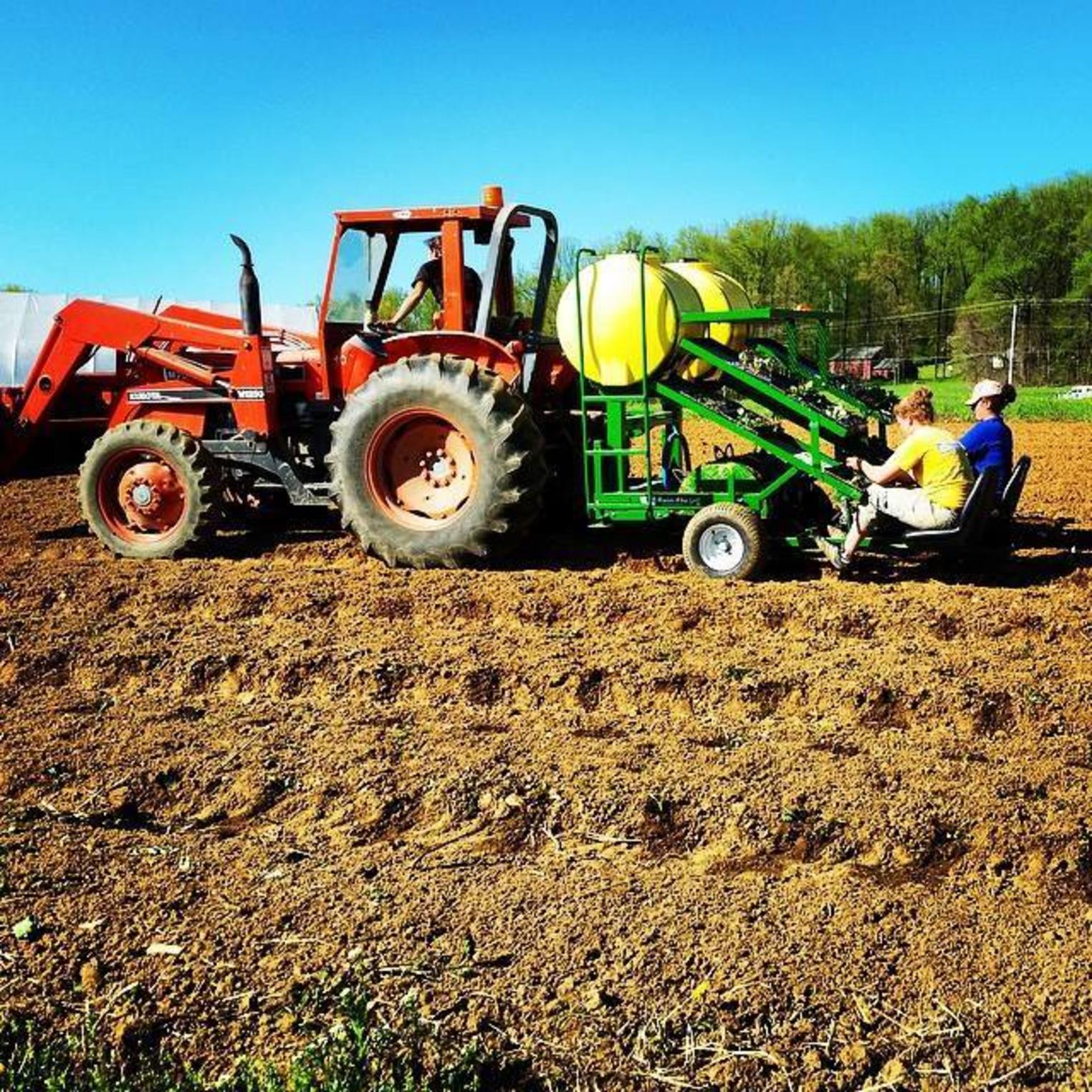 Planting at Everblossom Farm