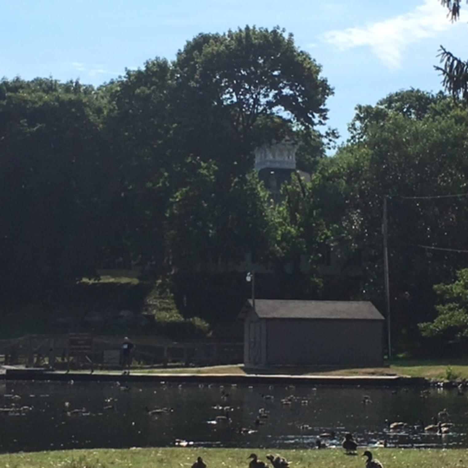 Dykeman Park