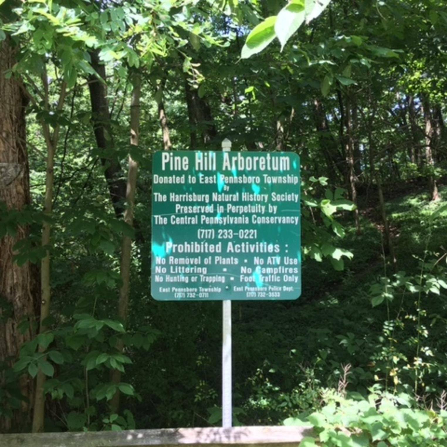 Pine Hill Arboretum