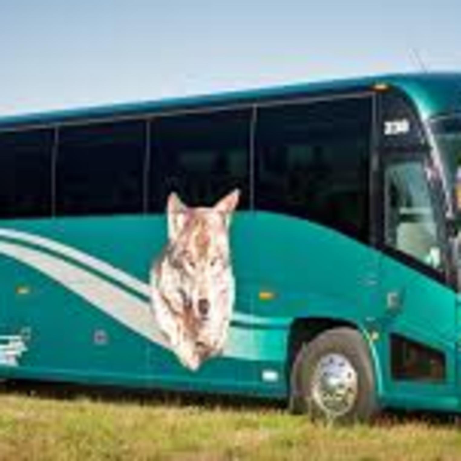 Wolf's Bus Line