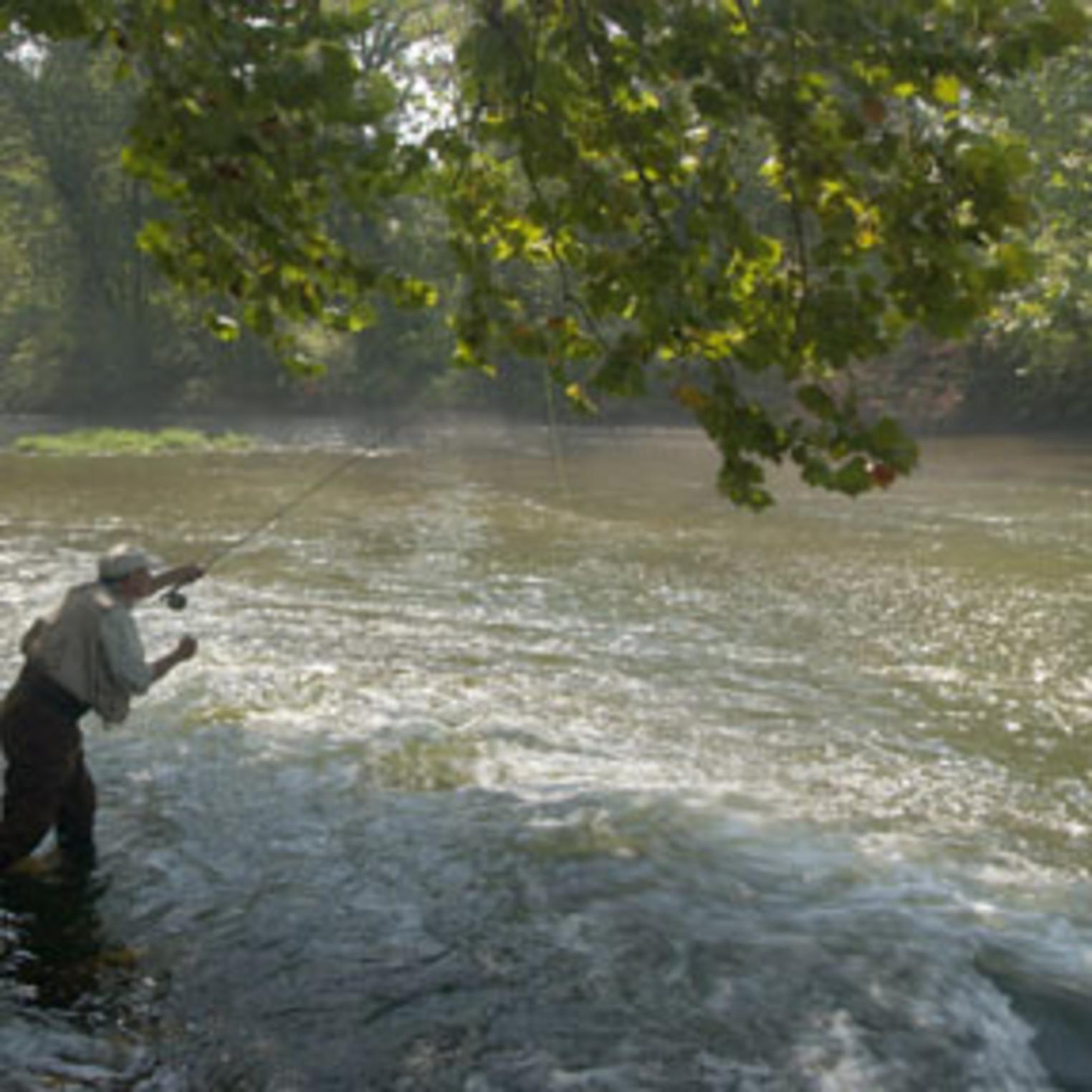 Yellow Breeches Creek on Allenberry's grounds
