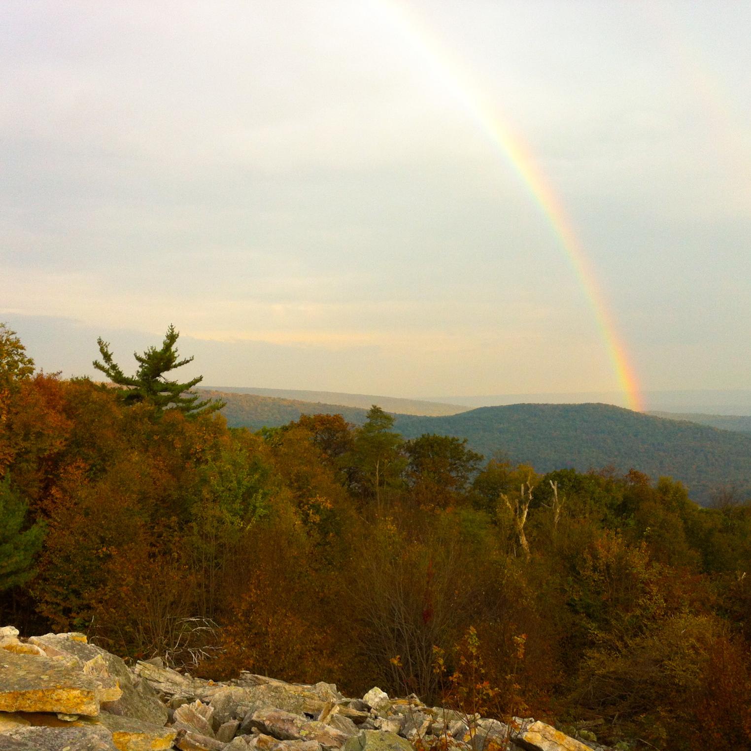 Waggoner's Gap Hawk Watch