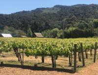 Folktale Vineyards