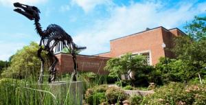 Dinosaur statue outside the McClung Museum