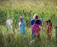 Pathfinders learn about insects at the Hudson Highlands Nature Museum’s after-school program beginning September 21 and September 22 at the Outdoor Discovery Center. Photo by Brian Kussard.