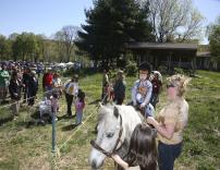 Enjoying a pony ride at the museum’s Earth Day Celebration. (Credit: George Potanovic, Jr.)