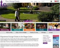 cayuga-county-website.JPG