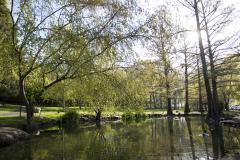 Botany Ponds 1