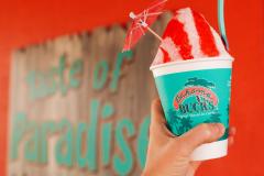 Bahama Bucks