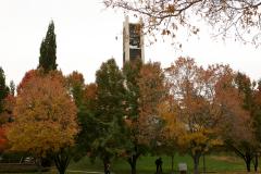Bell Tower