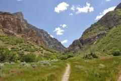 Canyon