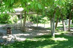 Group Pavillion