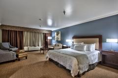 Standard King GuestRoom