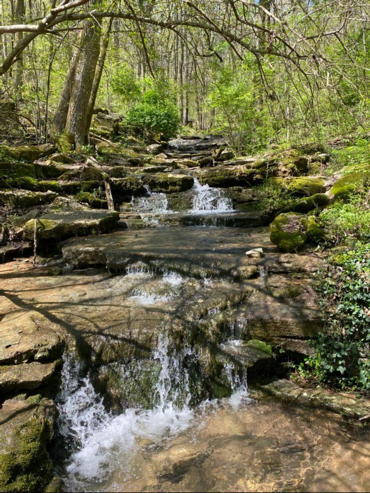 Waterfalls in Dallas Fanning Nature Preserve