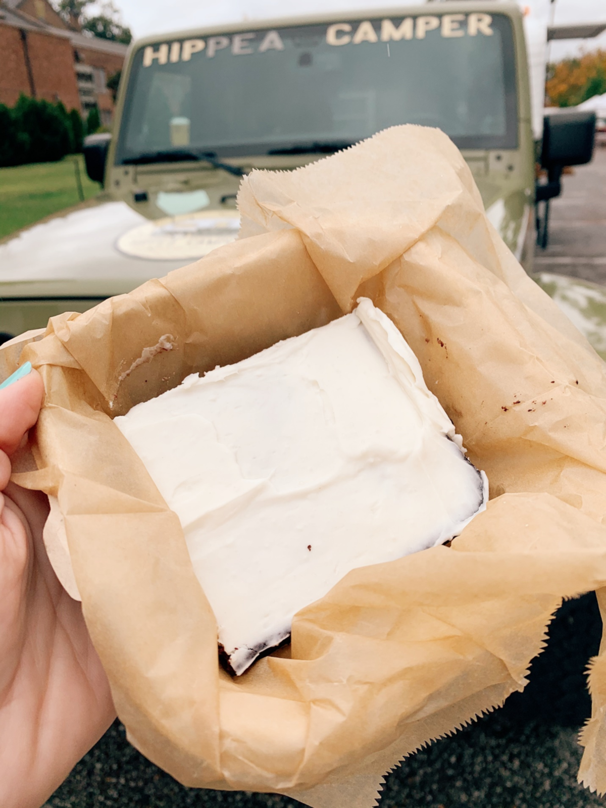 Vegan Hippea Camper Cake