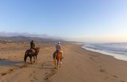 Horseback on the beach