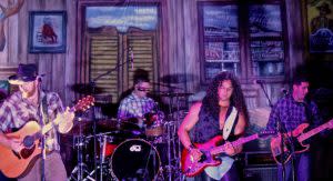 Music festivals on catalina island