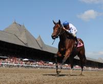 saratoga-370.jpg