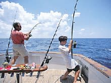 Fish from a boat or from the shore of one of Charlotte Harbor's pristine Gulf islands