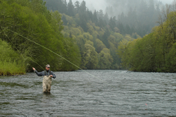 Mckenzie River Communities Eugene Cascades Oregon Coast