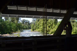 The View from Unity Covered Bridge by Sally McAleer