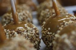 Estes Park Signature Sweets