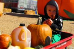 Pumpkins & Pilsners Estes Park