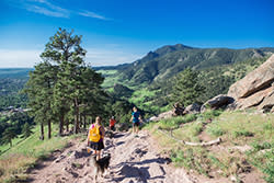 Sunset mag Sanitas