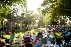 Concerts in the Downtown Park