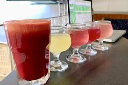 Turtle Mountain Fermentery